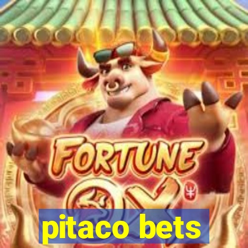 pitaco bets
